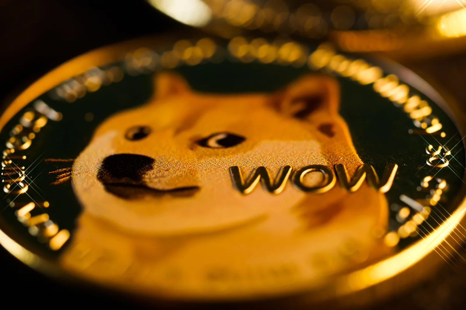 Lähikuva Dogecoin-kolikosta, jossa on shiba-koira